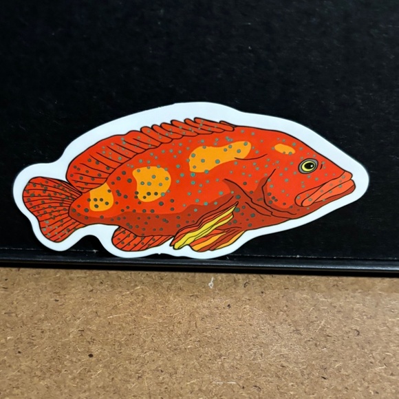 ORANGE GROUPER FISH STICKER - Picture 1 of 1